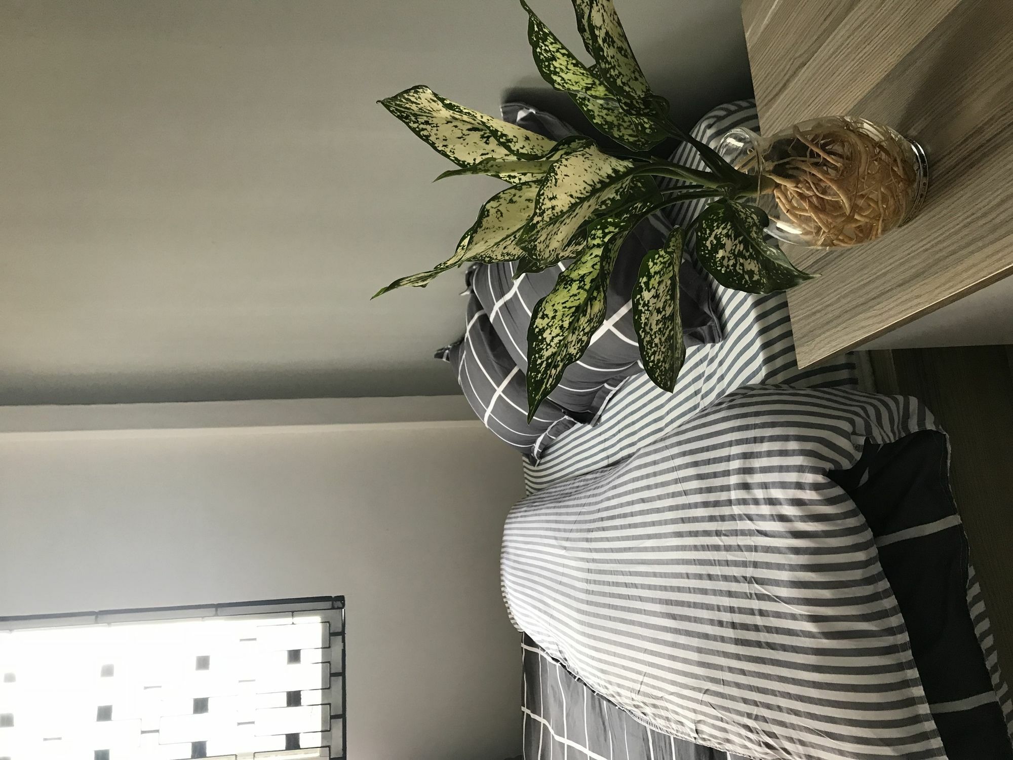 Meowies Homestay Ho Chi Minh-byen Eksteriør bilde